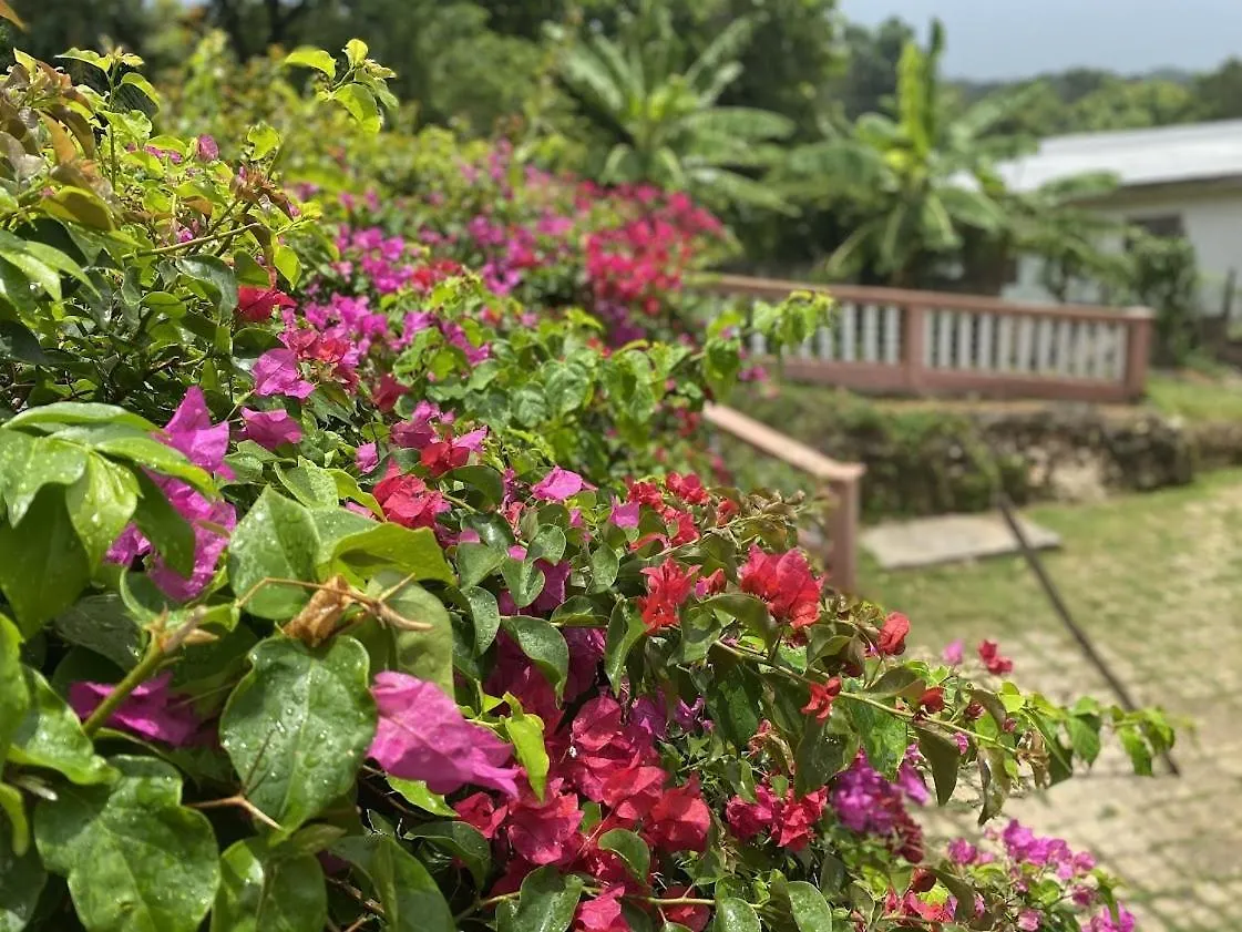 Villa Yanceylargo-6Br Two-Story Estate With Mountain Views à Montego Bay
