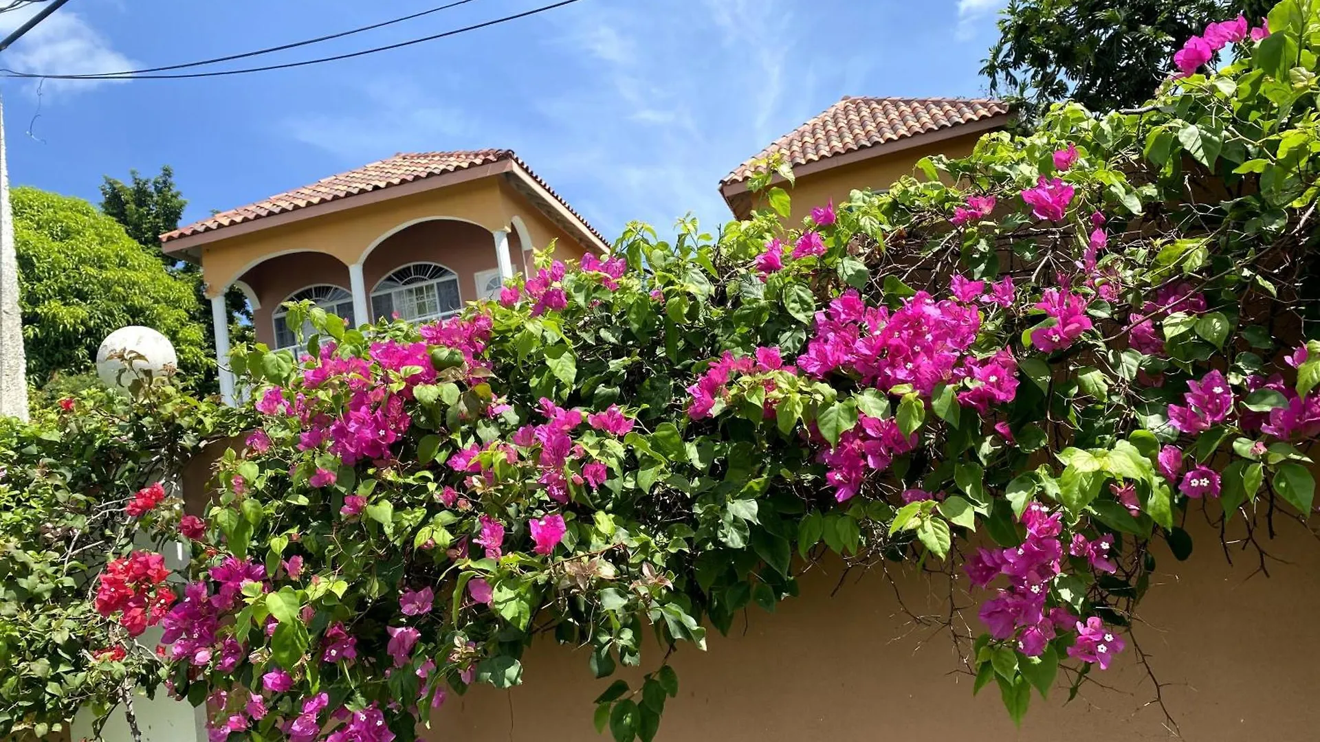 Yanceylargo-6Br Two-Story Estate With Mountain Views Βίλα Μοντέγκο Μπέυ Τζαμάικα
